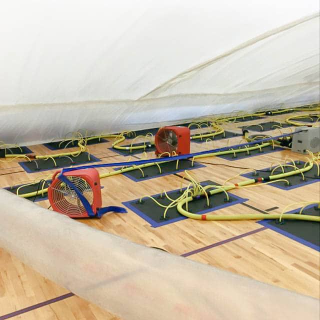 Professional Water Damaged Floor Drying for Gyms in Indianapolis