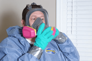 Professional Mold Remediation in Indianapolis IN